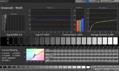 Escala de cinza do CalMAN – Monitor externo