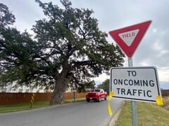 O carvalho Jolene na Old Stagecoach Road em Kyle, Texas (Fonte da imagem: Maya Fawa/KUT News)