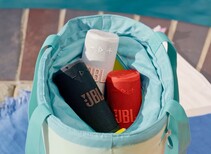 O Grip vem em seis cores brilhantes, incluindo as três vistas aqui (Fonte da imagem: JBL)