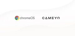 Google adquire a Cameyo (Fonte: Google Cloud Blog)
