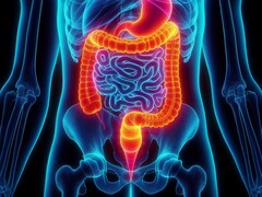 A ventilação enteral foi testada com sucesso em humanos pela primeira vez. (Fonte da imagem: David_SMC via Pixabay)