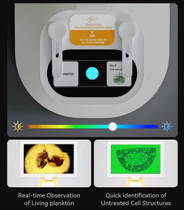 O Darwin MX Pro tem coloração de luz RGB ajustável de espécimes para ver as estruturas internas com facilidade. (Fonte da imagem: BeaverLab no Kickstarter)