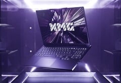 Mais opções de nível básico para jogadores com orçamento limitado. (Fonte da imagem: XMG)