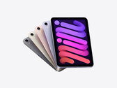 O iPad Mini pode viver ainda. (Fonte: Apple)