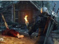 Imagem do jogo Witcher 3: Wild Hunt no Steam. (Fonte da imagem: Steam) 