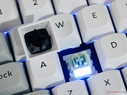 Luz de fundo do interruptor Keychron Q1 HE 8K