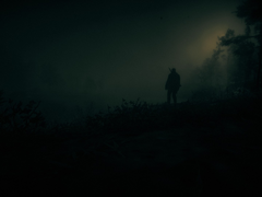 Uma captura de tela de Red Dead Redemption 2 em execução no PC (fonte da imagem: Comunidade Steam)