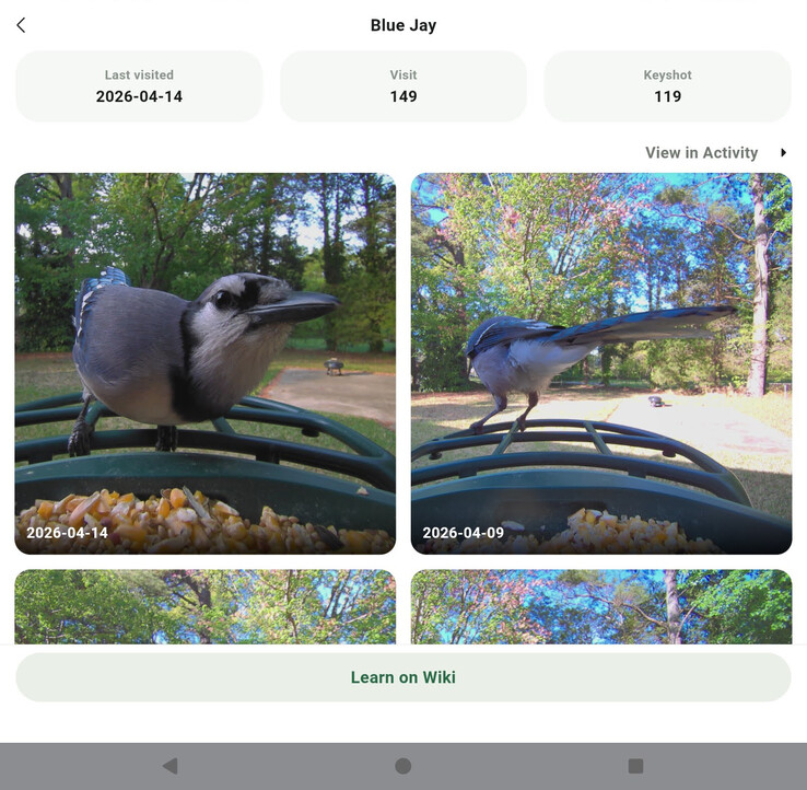 Visualização do painel