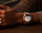 Os recentes smartwatches 'Pro' da Garmin estão mais uma vez qualificados para receber atualizações beta. (Fonte da imagem: Garmin)
