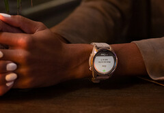 Os recentes smartwatches 'Pro' da Garmin estão mais uma vez qualificados para receber atualizações beta. (Fonte da imagem: Garmin)