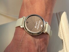 O smartwatch Garmin Lily 2 (na foto) está recebendo a versão beta 8.01. (Fonte da imagem: Garmin)