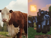Uma captura de tela da atualização do Minecraft Tiny Takeover comparando as vacas do jogo com uma vaca de verdade