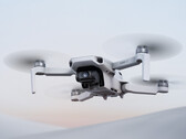 O DJI Mini 4K será lançado na próxima segunda-feira. (Fonte da imagem: DJI)