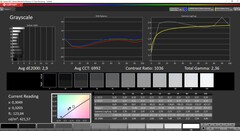 CalMan ColorChecker - Escalas de cinza