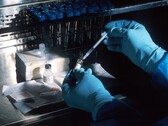 Os cientistas desenvolveram um bioink que pode ser usado para imprimir materiais vivos. (Fonte de imagem: Instituto Nacional do Câncer em Unsplash)