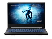 Medion Erazer Deputy P25 revisão de laptop para jogos: Desempenho forte, exibição fraca