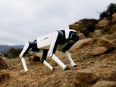 O mais recente cão-robô da Dobot deve custar pouco mais de US$ 1.000. (Fonte da imagem: Dobot)