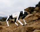 O mais recente cão-robô da Dobot deve custar pouco mais de US$ 1.000. (Fonte da imagem: Dobot)