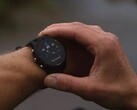 A Garmin está lançando a versão Beta Pública 17.22 para vários modelos do Forerunner, incluindo o 255 (acima). (Fonte da imagem: Garmin)