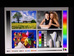 Amplos ângulos de visão OLED