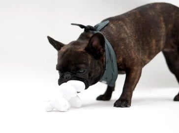 Brinquedo para mastigar “Dog Mode”