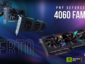 Placas RTX 4060 da PNY. (Fonte: PNY)