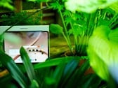 O OnePlus 4 é um ótimo tablet, mas seu período de suporte não é o ideal.