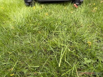 O Airseekers Tron deixa aparas de grama mais longas no teste...