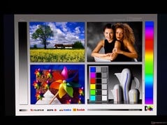 Amplos ângulos de visão do OLED
