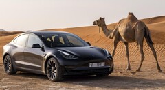 O Tesla Model 3 Long Range AWD está disponível para encomenda mais uma vez. (Fonte da imagem: Tesla)