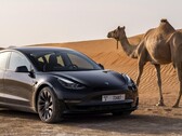 O Tesla Model 3 Long Range AWD está disponível para encomenda mais uma vez. (Fonte da imagem: Tesla)