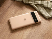 Alguns casos Pixel 6 e Pixel 6 Pro estão envelhecendo mal, apenas alguns meses após sua liberação. (Fonte de imagem: Google)