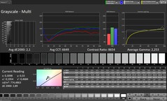 CalMAN Grayscale (Escala de cinza)