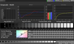 Escala de cinza (modo de cor: Professional, espaço de cor alvo: sRGB)