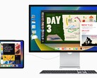 Craig Federighi sostiene che Stage Manager richiede troppe risorse per i chipset dell'iPad diversi da Apple M1. (Fonte: Apple)