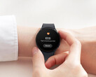 A Samsung apresentou outro novo recurso para o One UI 5 Watch. (Fonte da imagem: Samsung)