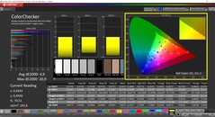 CalMAN ColorChecker calibrado