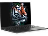 A opção de exibição 3K é baseada na tecnologia LTPS LCD que é normalmente vista em smartphones. (Fonte de imagem: Tuxedo)