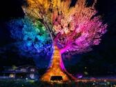 O Outdoor Tree Lights da Govee (na foto) será lançado em setembro de 2025. (Fonte da imagem: Govee)