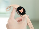 A série Galaxy Watch5 está prevista para ser lançada por muito mais do que a série Galaxy Watch4 do ano passado. (Fonte de imagem: Samsung)