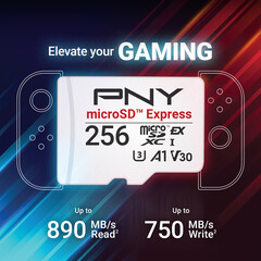 Cartões flash microSD Express da PNY (Fonte da imagem: PNY PR)