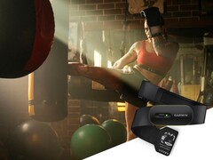 O HRM 600 é uma nova cinta peitoral que também pode ser usada sozinha. (Fonte da imagem: Garmin)