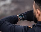 O Fenix 8 e seus smartwatches similares estão rapidamente acumulando novos recursos como parte do último ciclo de desenvolvimento beta da Garmin. (Fonte da imagem: Garmin)