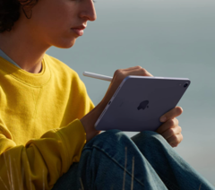 Alguns proprietários de iPad mini 6 estão agora reclamando da distorção e descoloração da tela. (Imagem: Apple)