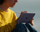 Alguns proprietários de iPad mini 6 estão agora reclamando da distorção e descoloração da tela. (Imagem: Apple)