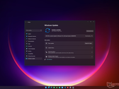 O Programa de Pré-visualização do Windows 11 Insider ainda não chegou ao Canal de Pré-visualização do Lançamento. (Fonte de imagem: Microsoft) 