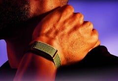Espera-se que a Garmin lance em breve uma alternativa ao Polar Loop apresentado aqui.