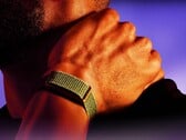 Espera-se que a Garmin lance em breve uma alternativa ao Polar Loop apresentado aqui.
