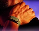 Espera-se que a Garmin lance em breve uma alternativa ao Polar Loop apresentado aqui.