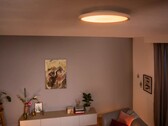 As novas luminárias de teto Philips Hue Aurelle (foto) serão mais baratas do que as versões originais. (Fonte da imagem: Philips Hue)